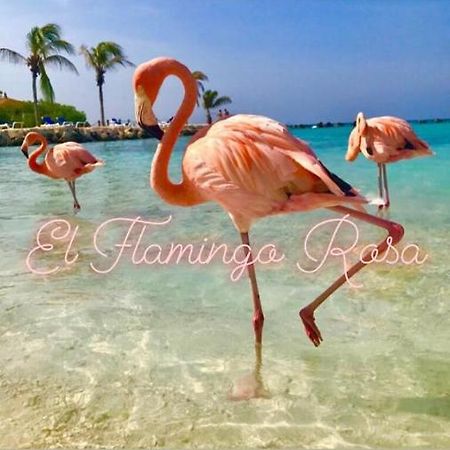 Casa Vacanze El Flamingo Rosa Cod Iun P5386 Iglesias Luaran gambar